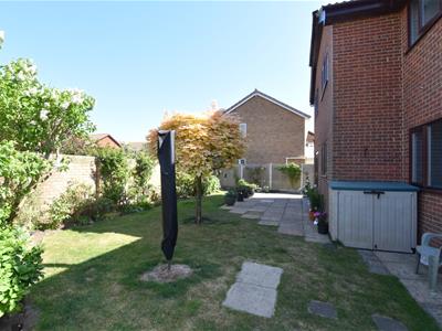 Picture 20